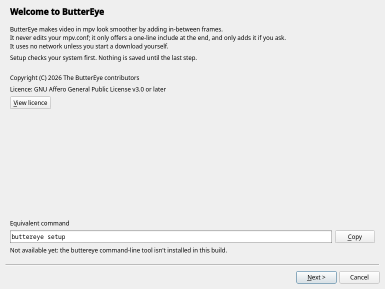 Setup wizard (classic window): checks first, nothing saved until the end